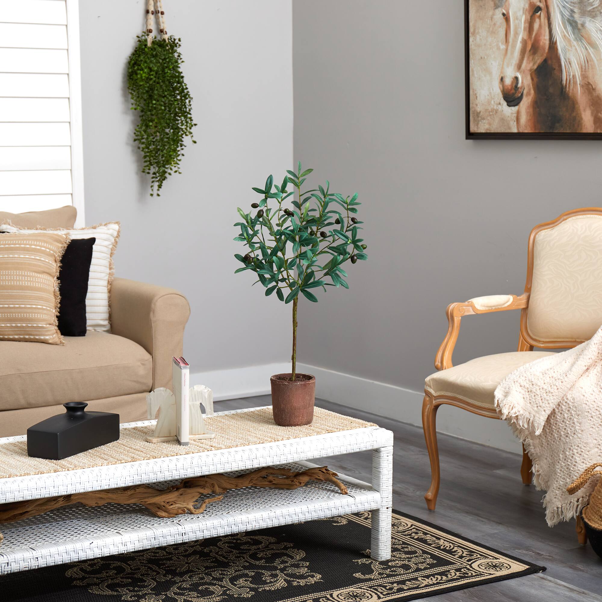 2.5ft. Olive Tree in Brown Planter
